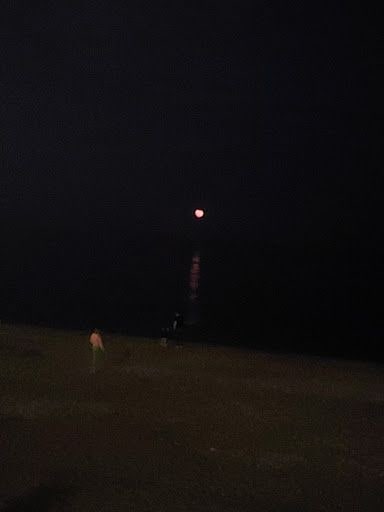Fotoğraf 19