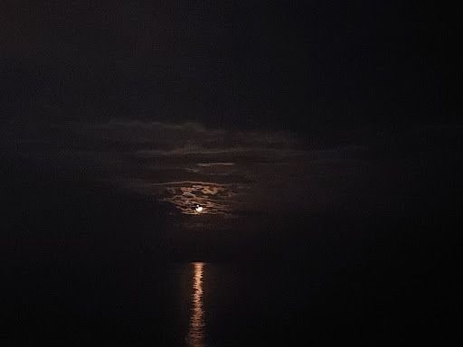 Fotoğraf 13