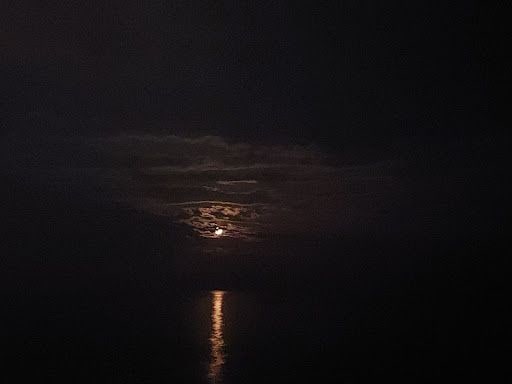 Fotoğraf 14