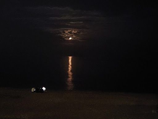 Fotoğraf 17