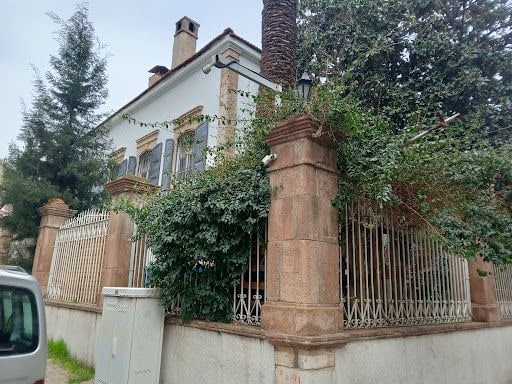Fotoğraf 33
