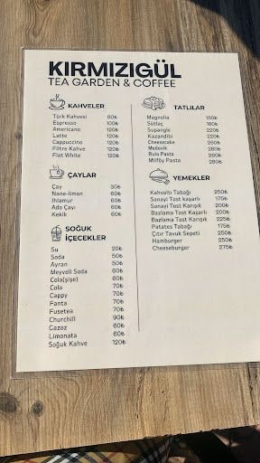 Fotoğraf 17