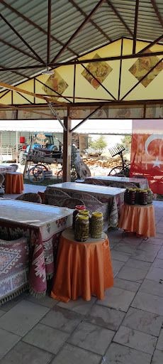 Fotoğraf 33