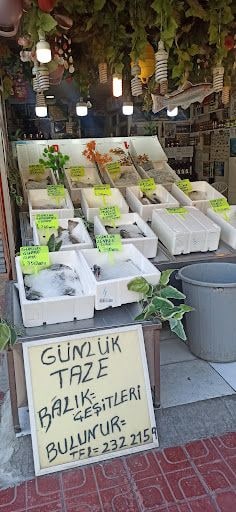 Yorum fotoğrafı 3