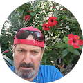 mustafa Keleş