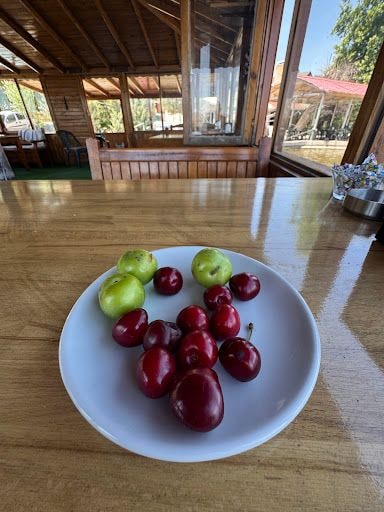 Yorum fotoğrafı 3