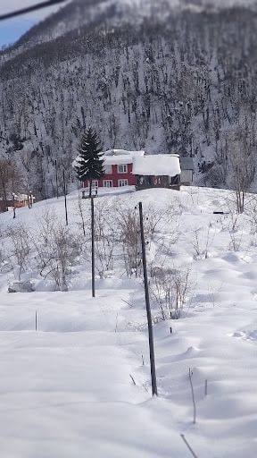 Fotoğraf 12