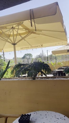 Fotoğraf 30