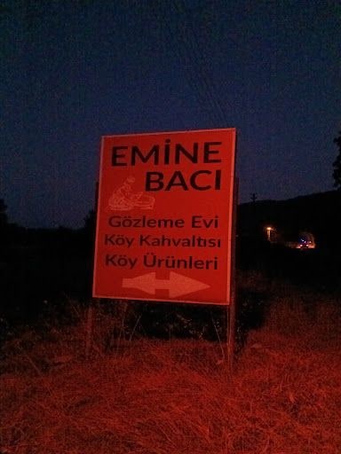 Fotoğraf 14