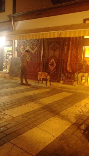 Fotoğraf 11