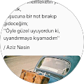 mustafa vasfi demir