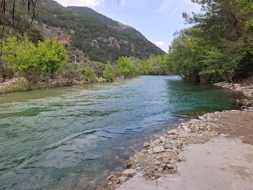 Yorum fotoğrafı 8