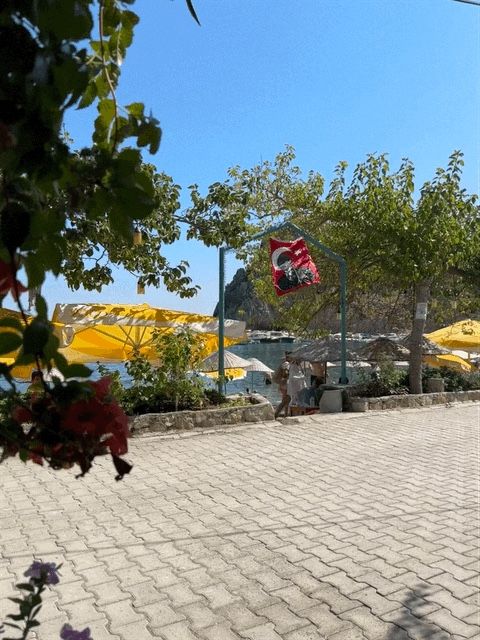 Yorum fotoğrafı 2