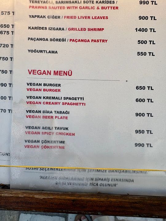 Fotoğraf 26