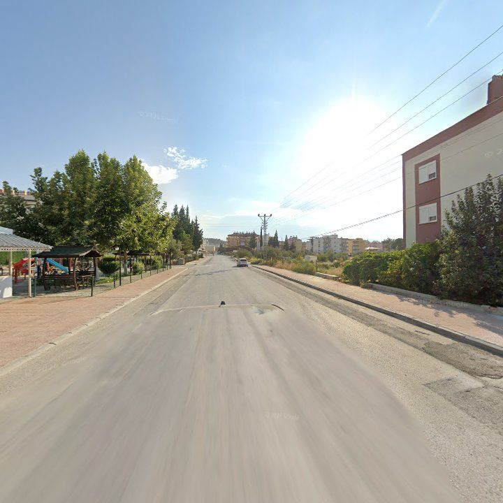 Fotoğraf 5