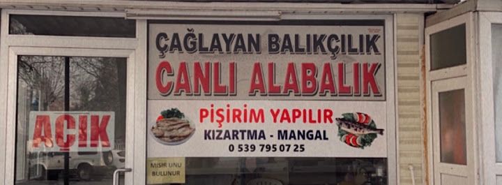 Çağlayan Balıkçılık Canlı Alabalık