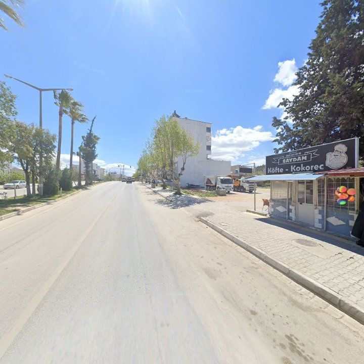 Fotoğraf 5
