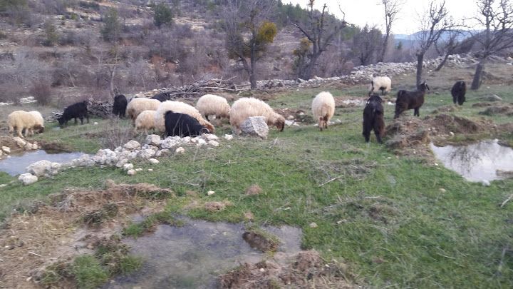 Yayla Lokantasi Döner Salonu