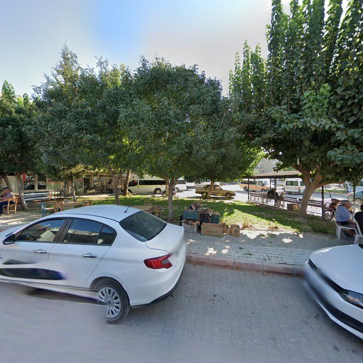 Fotoğraf 4