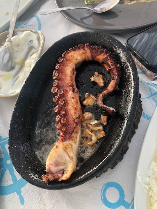 Fotoğraf 13