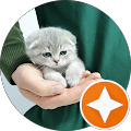 Mutlu Çalış Veteriner Kliniği / İzmir veteriner