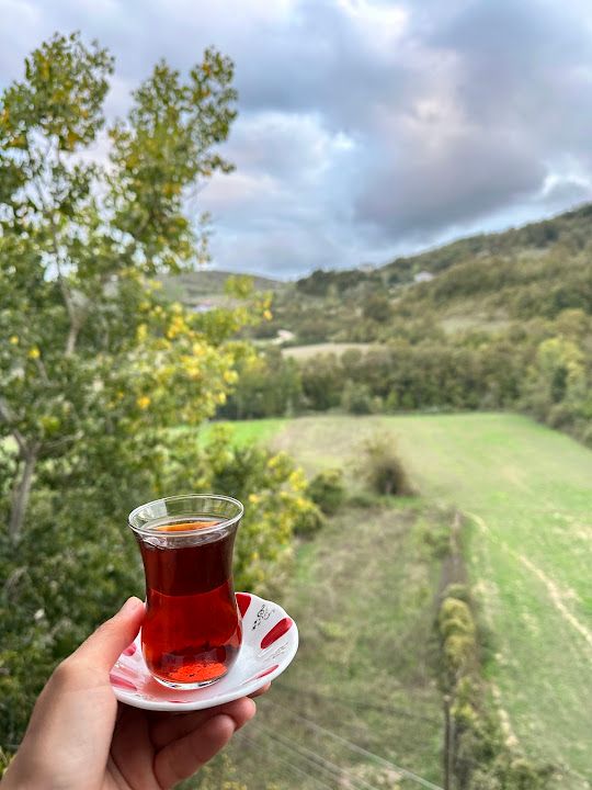 Yorum fotoğrafı 2