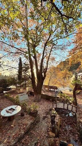 Yorum fotoğrafı 4