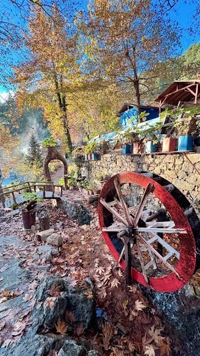 Yorum fotoğrafı 5