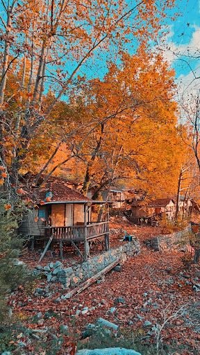 Yorum fotoğrafı 7