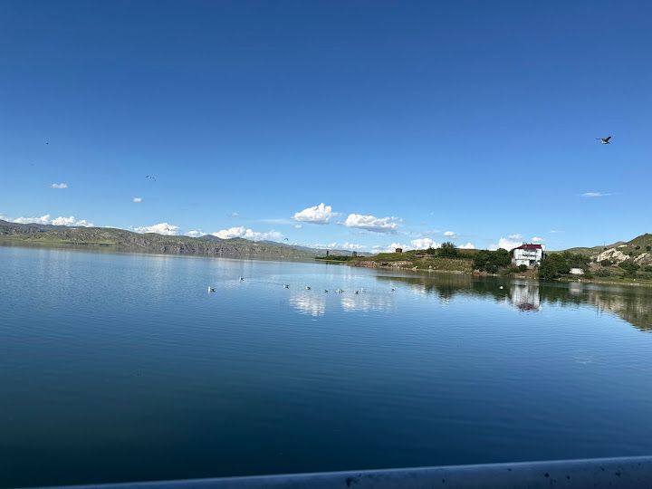 Fotoğraf 31