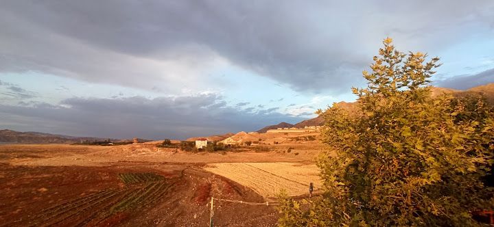 Fotoğraf 16