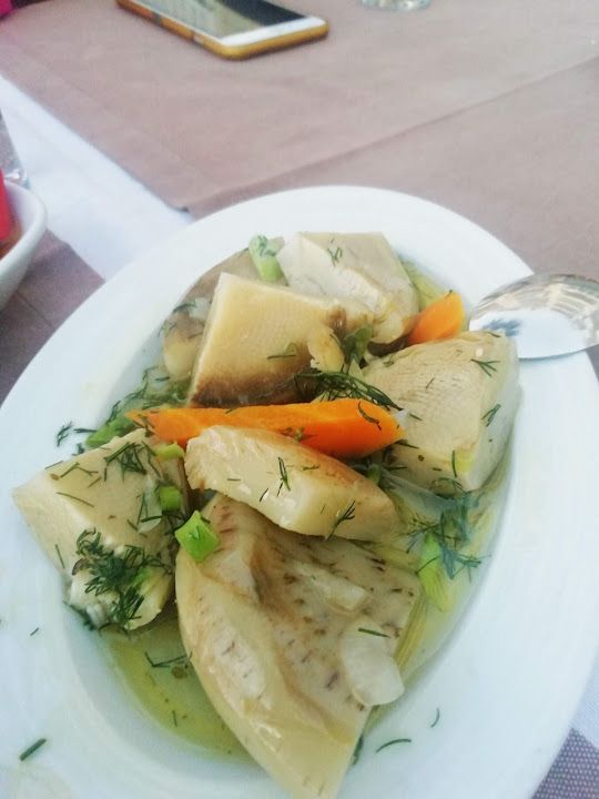 Fotoğraf 24