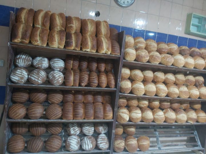 Fotoğraf 14