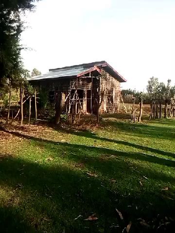 Fotoğraf 19