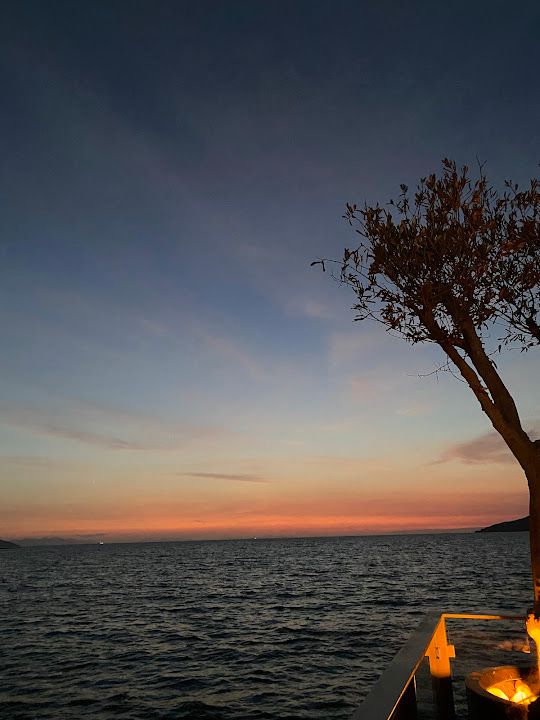 Fotoğraf 21