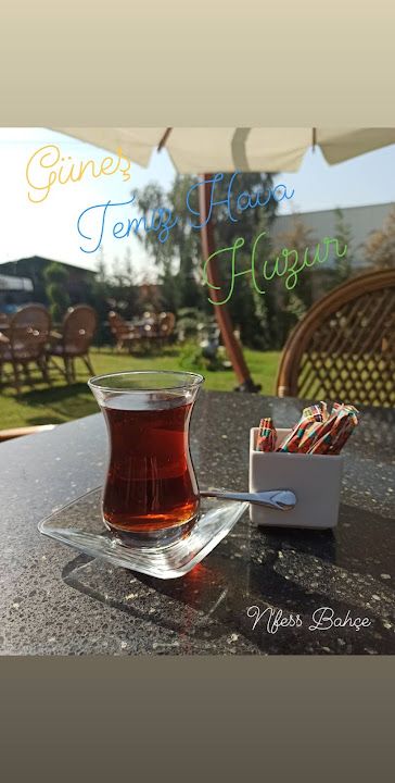 Fotoğraf 14