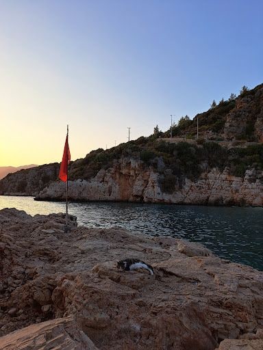 Yorum fotoğrafı 3
