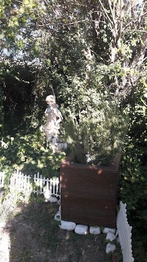 Yorum fotoğrafı 5