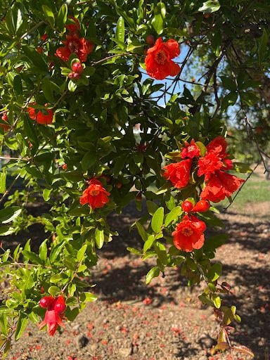 Fotoğraf 16