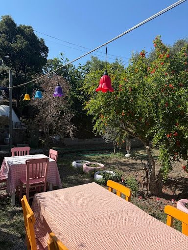 Fotoğraf 17