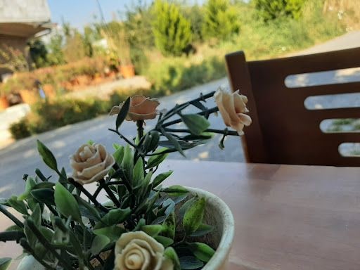 Fotoğraf 16