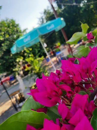 Fotoğraf 17
