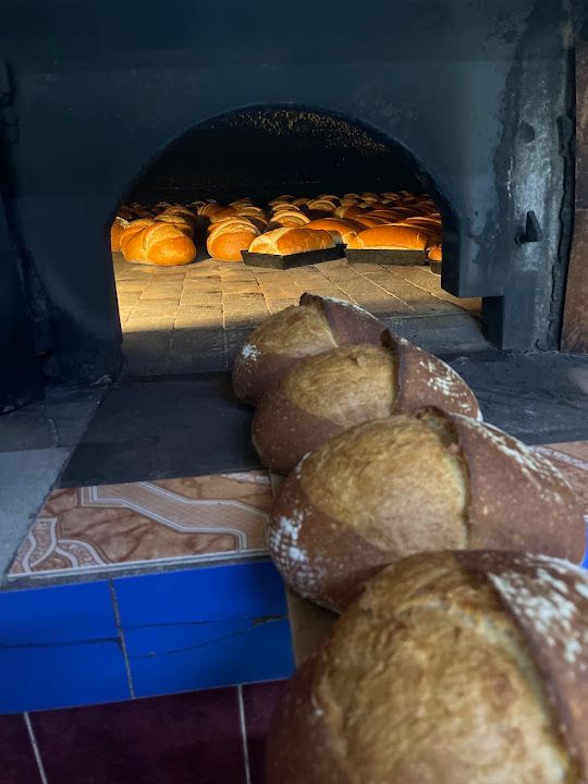Fotoğraf 12