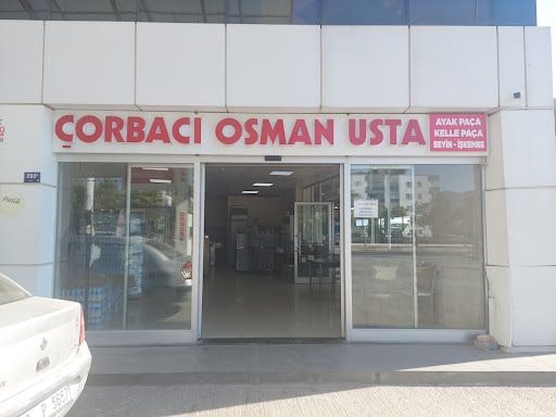 Fotoğraf 15