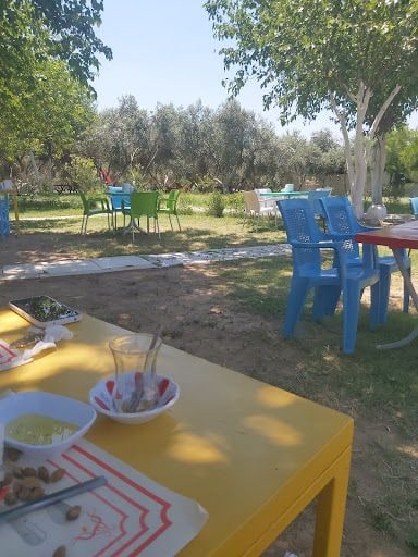 Fotoğraf 16