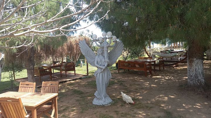 Yorum fotoğrafı 3