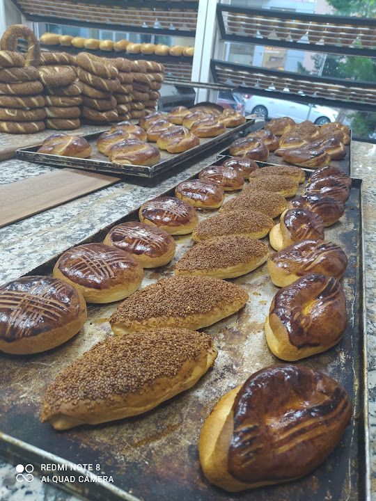 Fotoğraf 12