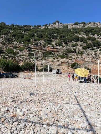 Yorum fotoğrafı 7