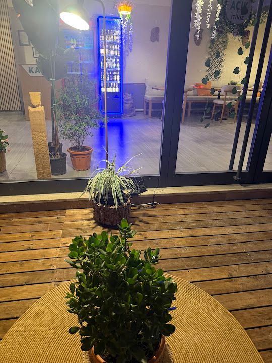 Yorum fotoğrafı 3