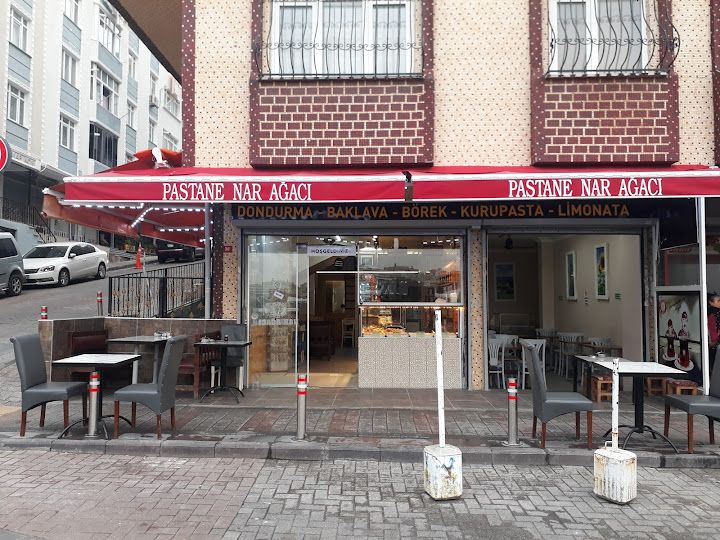 Fotoğraf 14